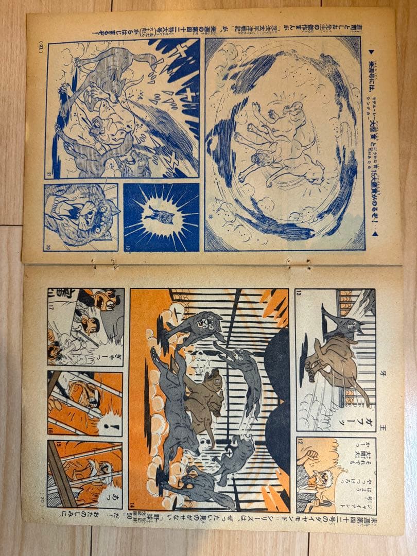 切り抜き　牙王　少年マガジン1965年41号　石川球太　戸川幸夫