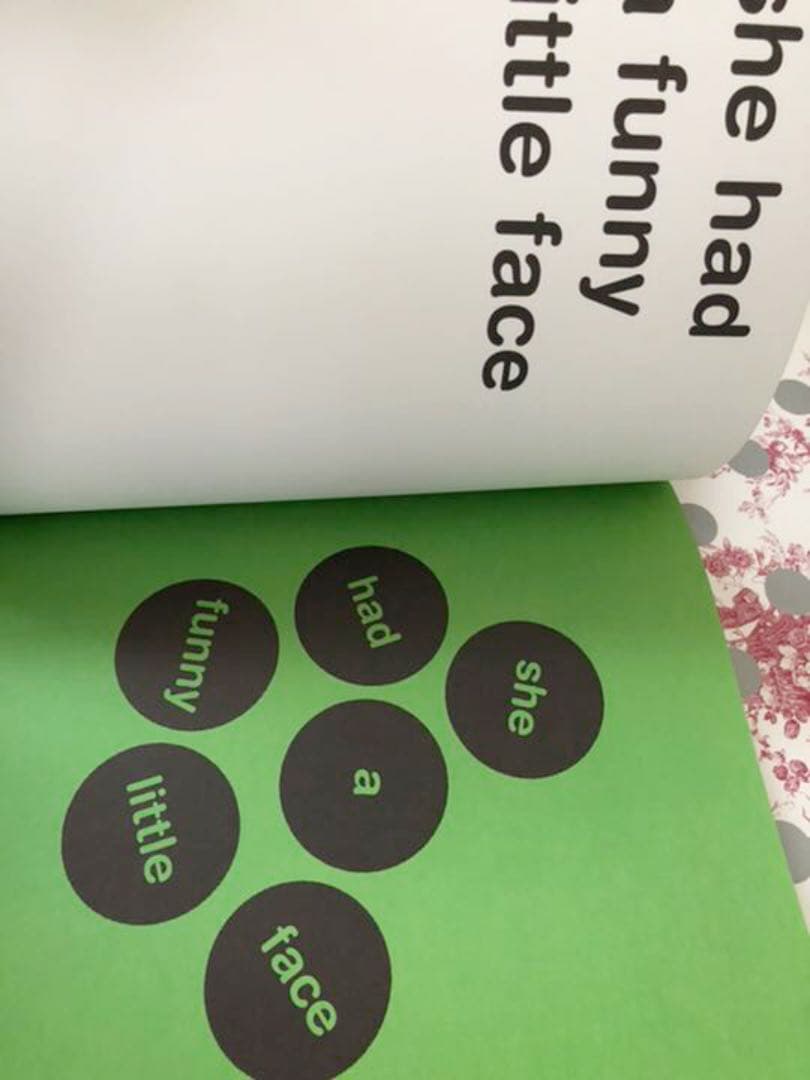 装丁ディックブルーナMy Dutch Design 2008-2009 vol2