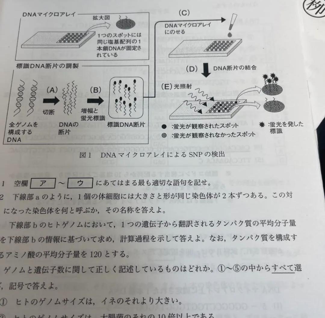 鉄緑会　高3 生物　2021年入試　入試生物演習　全回セット