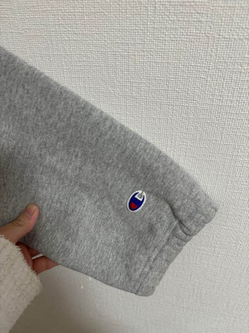 STUSSY×Championビッグプリントカバーオール　ステューシー　リバース