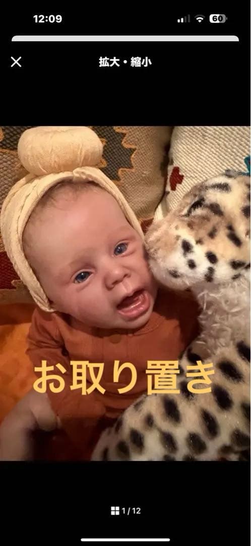 リボーンドール　おまとめ