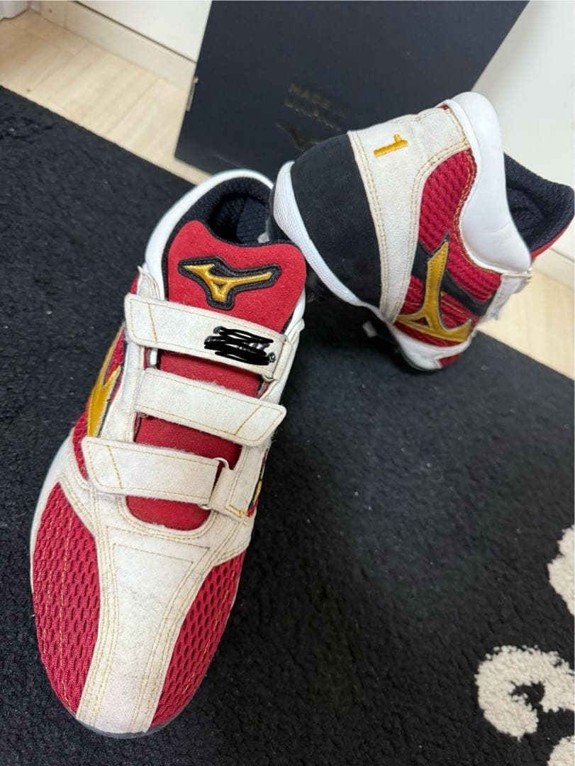 い*す様 ミズノプロ オーダースパイク 28cm