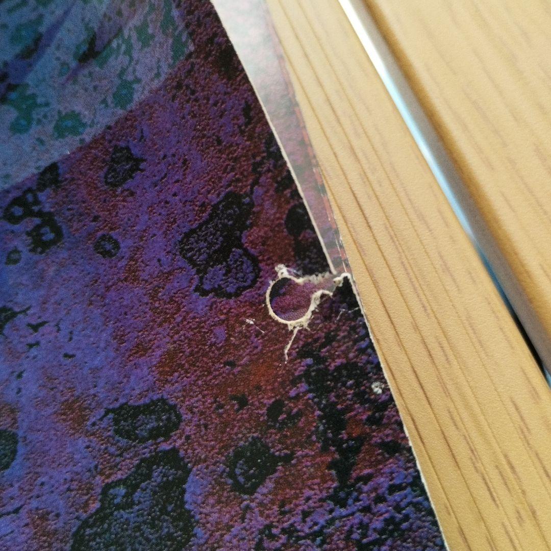 レア　希少　BIOHAZARD 2 1999 CALENDAR