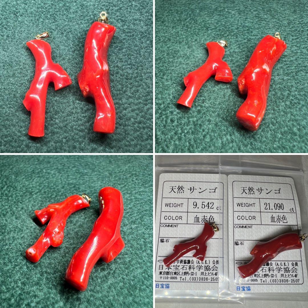 まにこ様用！！【極上の純国産☆】天然血赤珊瑚　高知県産　21.090ct k18