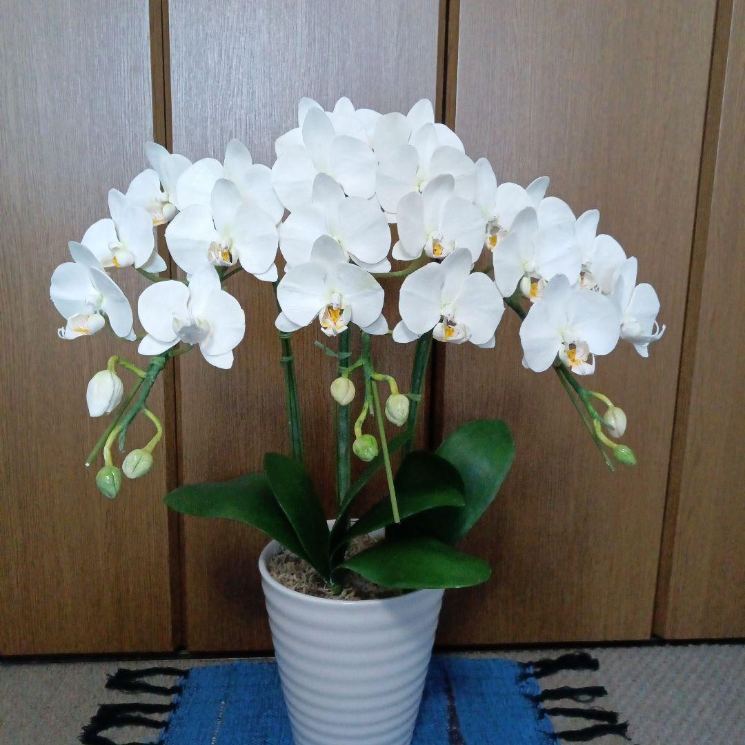 専用　ホワイト胡蝶蘭　クレイフラワー　樹脂粘土