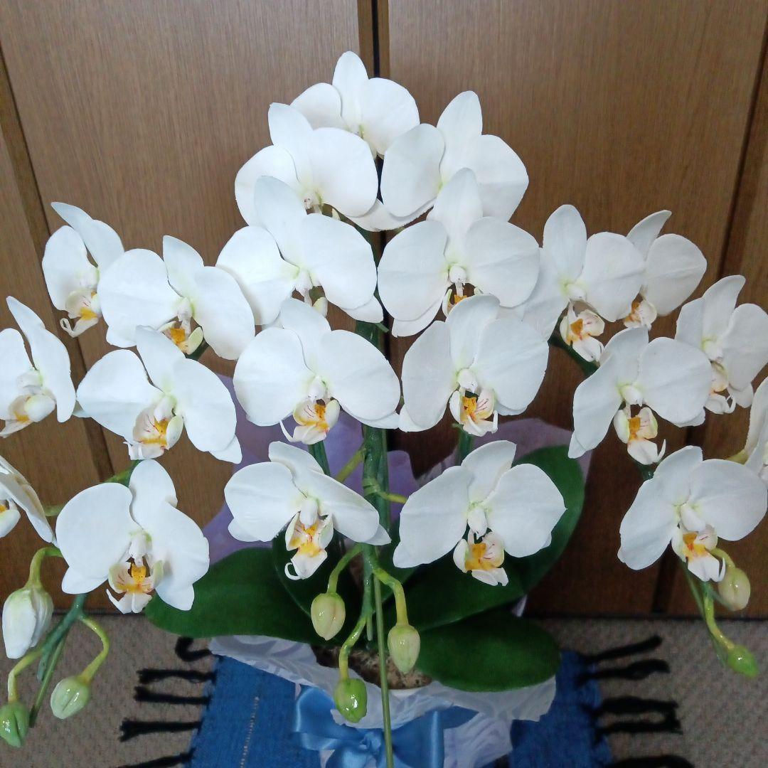 専用　ホワイト胡蝶蘭　クレイフラワー　樹脂粘土