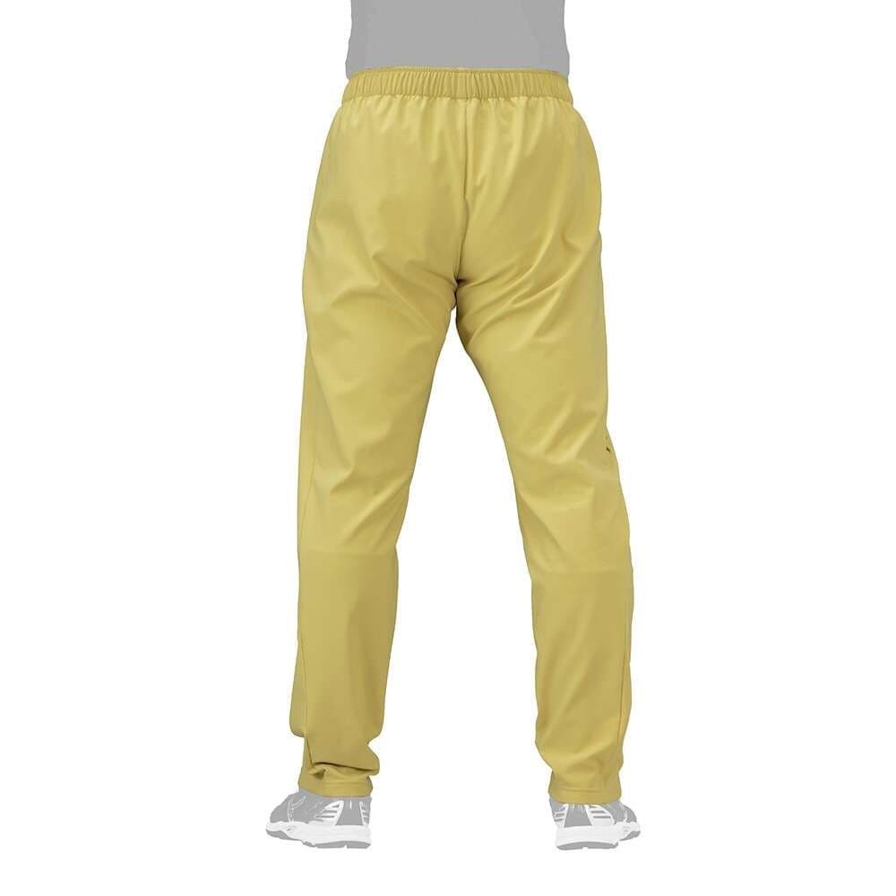 Mizuno Pro 2024秋冬限定モデル 上下セットアップ サイズ Ｌ