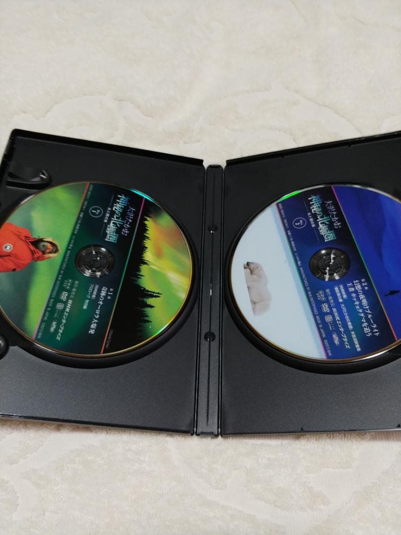 大沢たかお　DVD「神秘の北極圏」