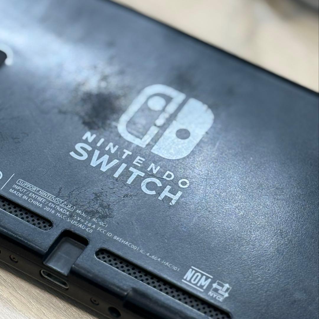 Nintendo Switch Lite 本体のみ