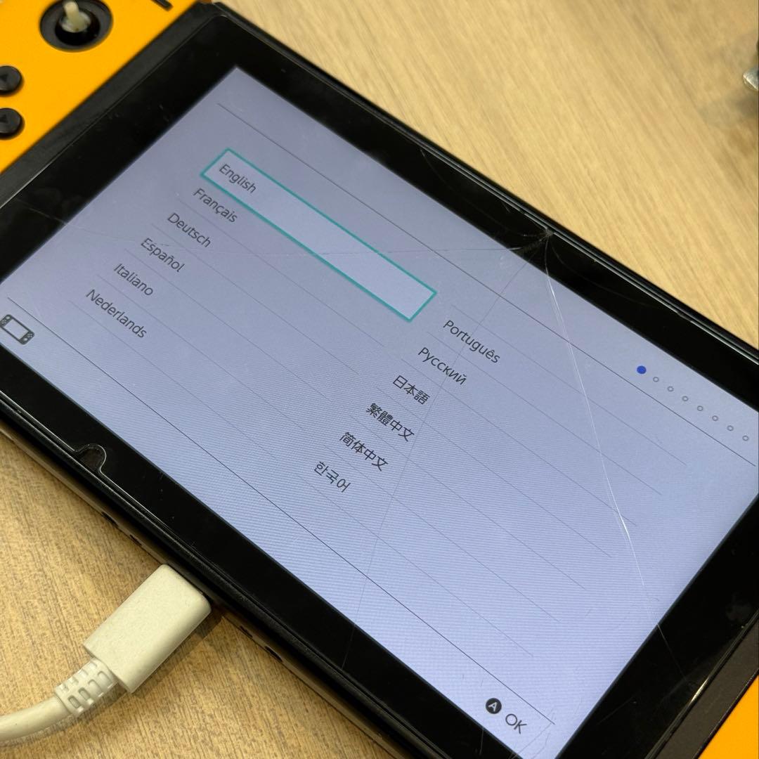 Nintendo Switch Lite 本体のみ