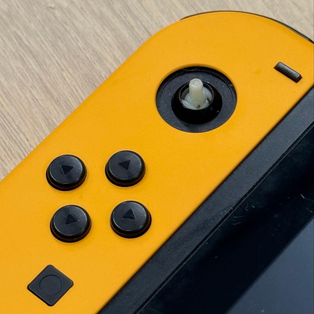 Nintendo Switch Lite 本体のみ