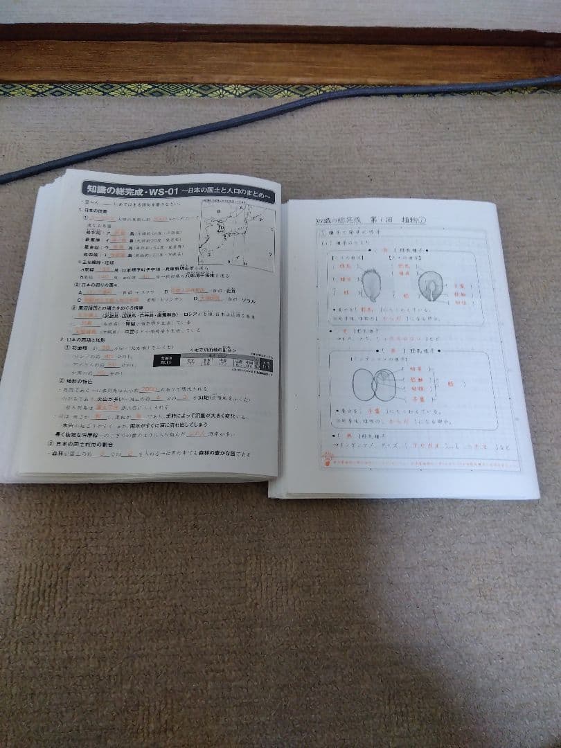 2021 SAPIX ウィークリーサピックス 理科・社会 知識の総完成 赤解答
