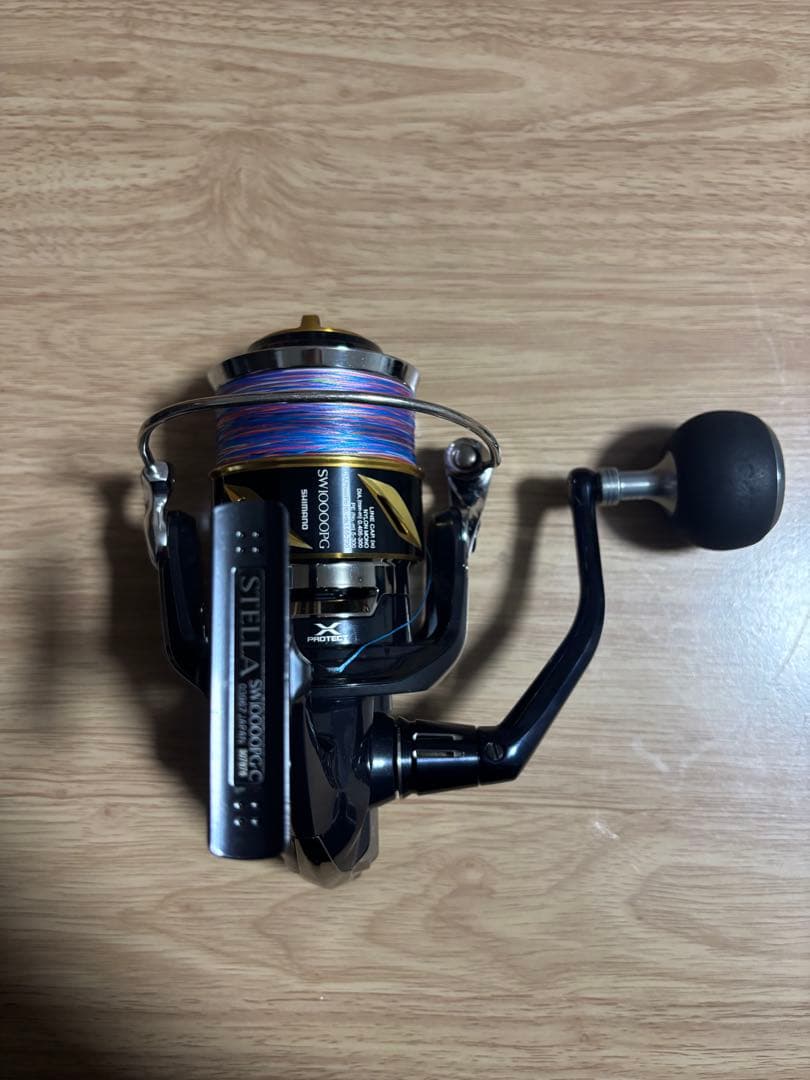 19ステラSW10000PG