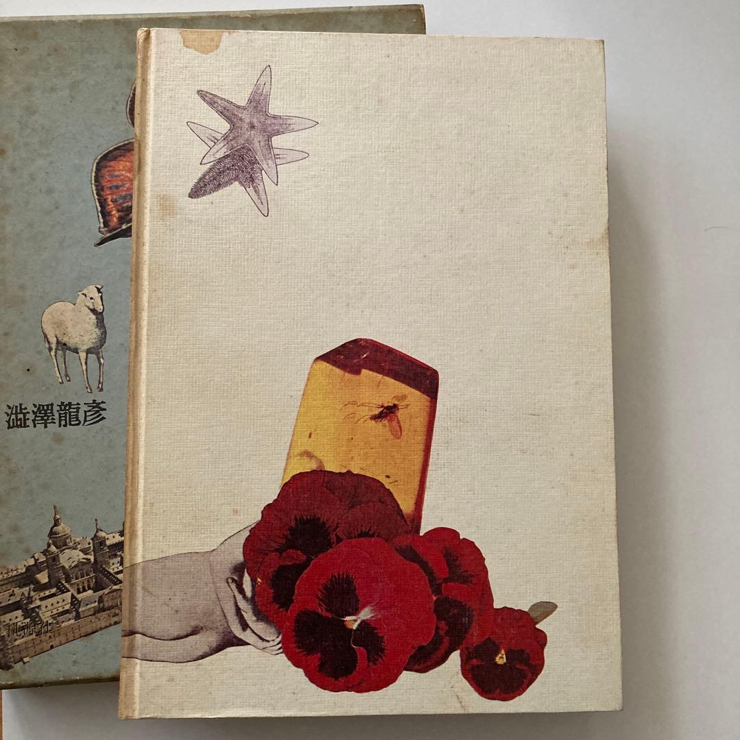 夢のある部屋　　澁澤龍彦　著　　野中ユリ装