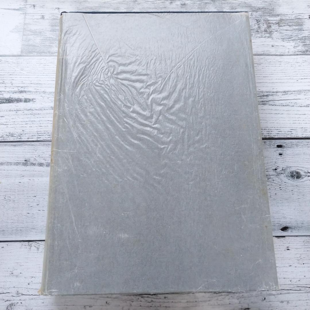 金字宝塔曼陀羅 宮次男 T261 ※平日発送商品