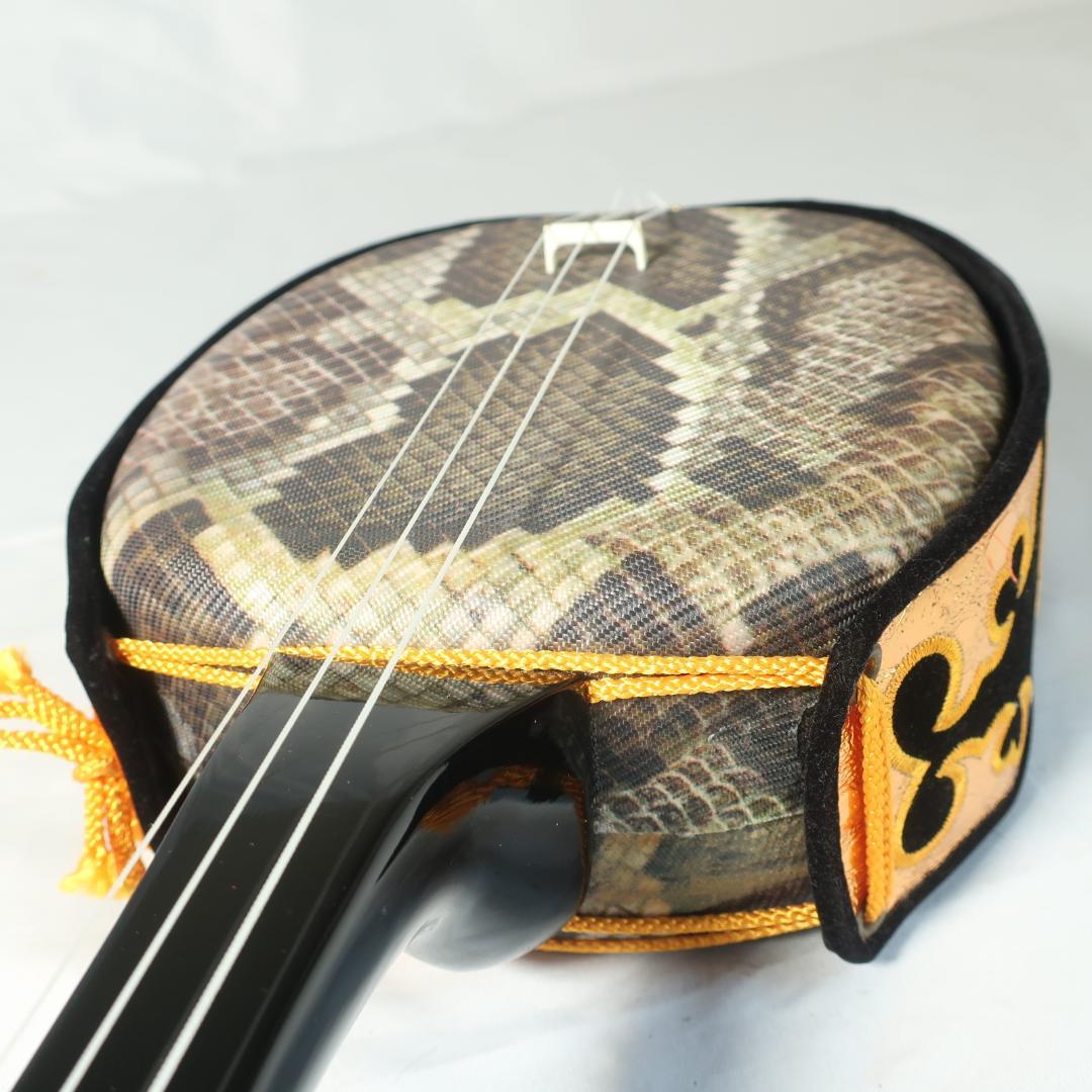 沖縄三線 ハードケース付 爪 予備弦 教則本 付属 和楽器