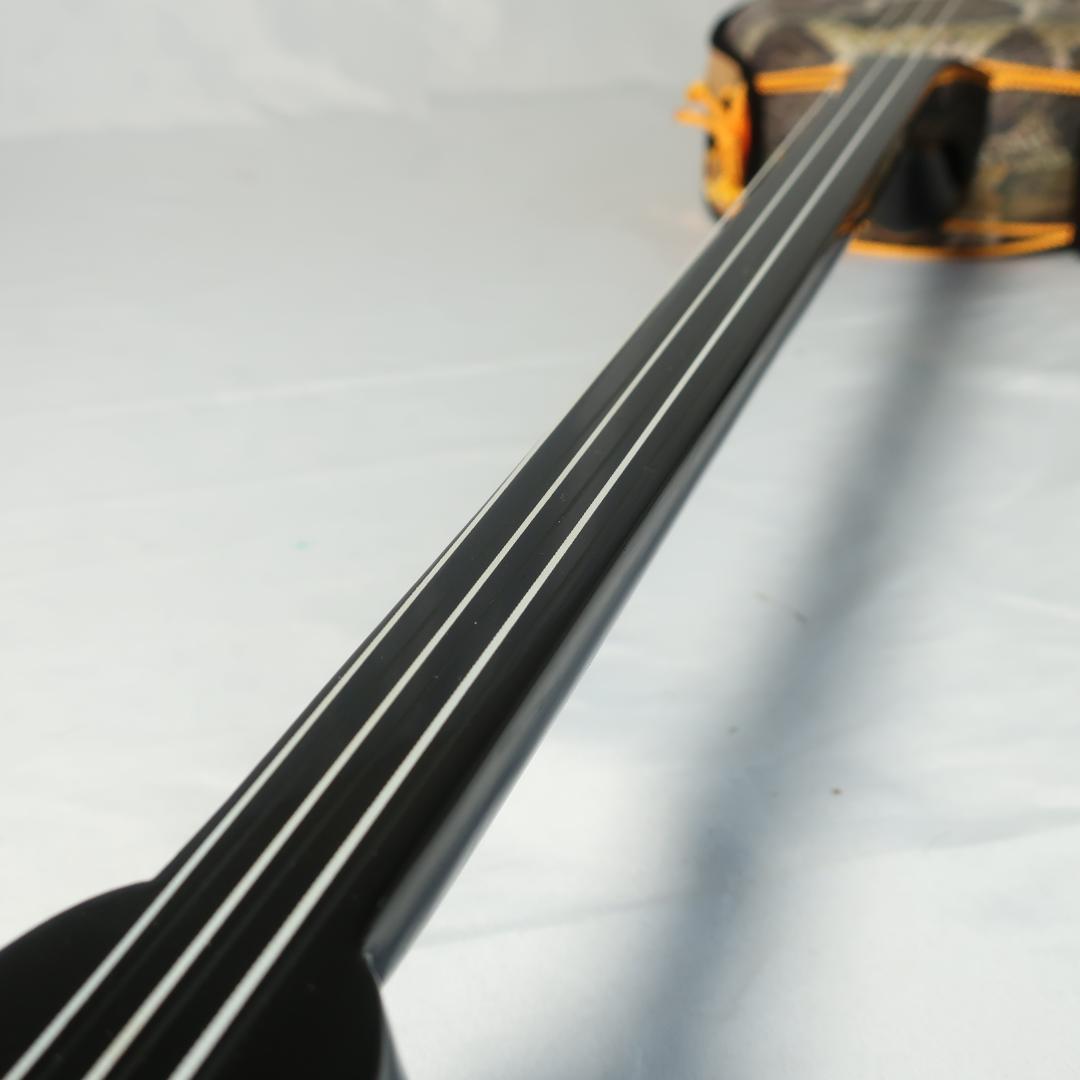 沖縄三線 ハードケース付 爪 予備弦 教則本 付属 和楽器