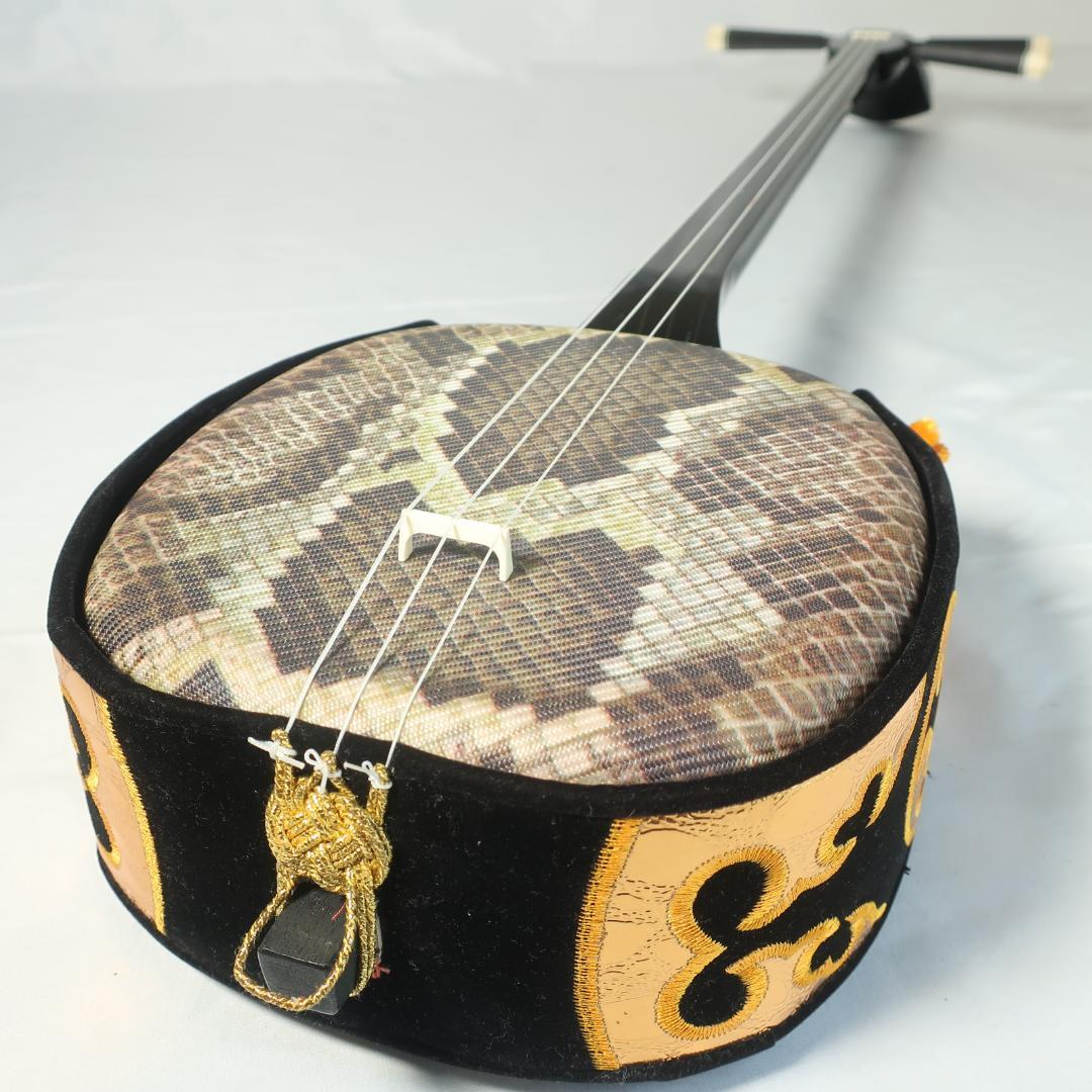 沖縄三線 ハードケース付 爪 予備弦 教則本 付属 和楽器