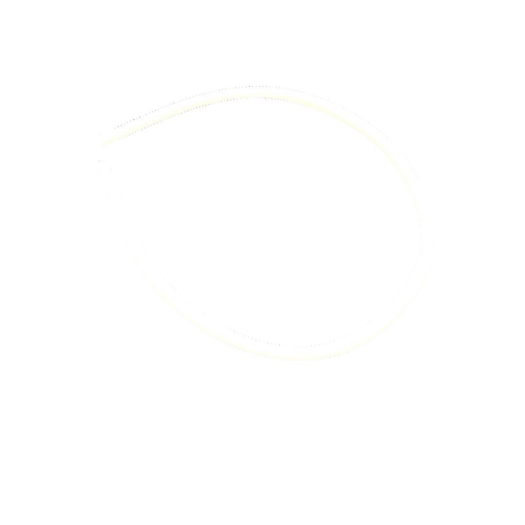 wahaha..... 元箱つき！タンスのゲン　2024年製