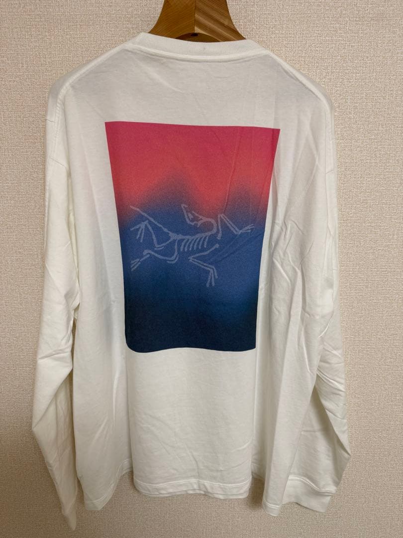 【美品M】ARC'TERYX Kragg Cotton Heatmap LS 白