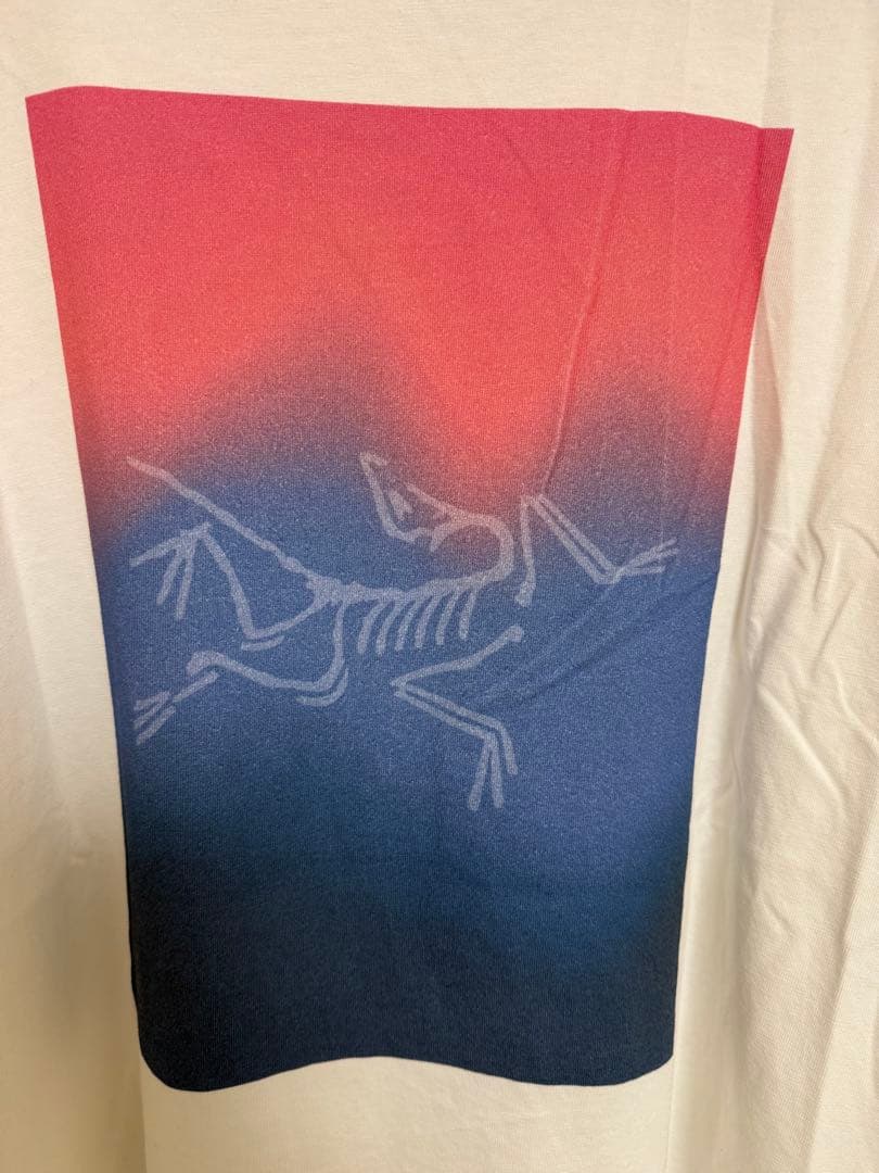 【美品M】ARC'TERYX Kragg Cotton Heatmap LS 白