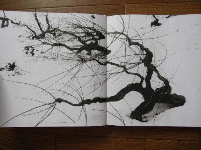 Under the skin of reality　マリオ・ジャコメッリ