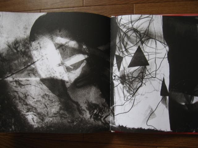 Under the skin of reality　マリオ・ジャコメッリ