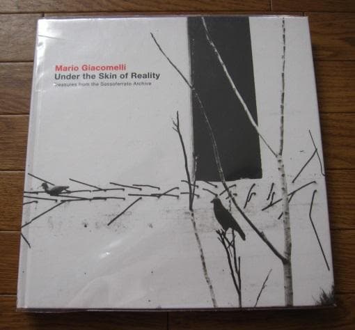 Under the skin of reality　マリオ・ジャコメッリ