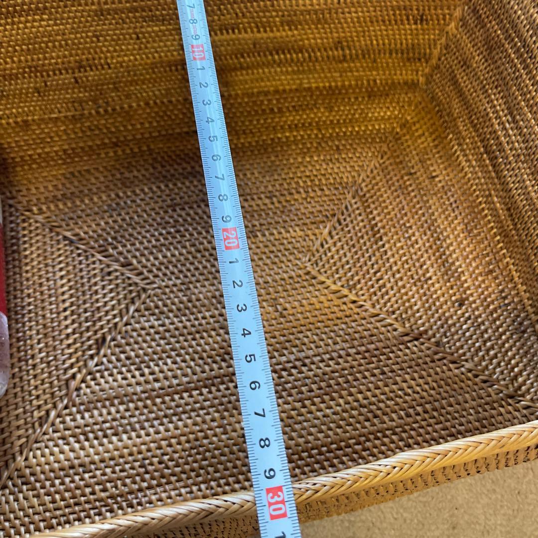 大きなアタかご蓋つき