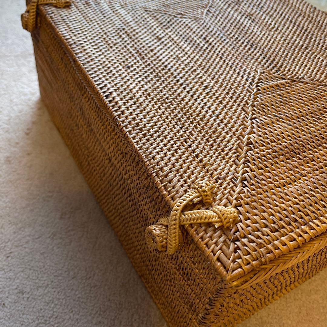 大きなアタかご蓋つき