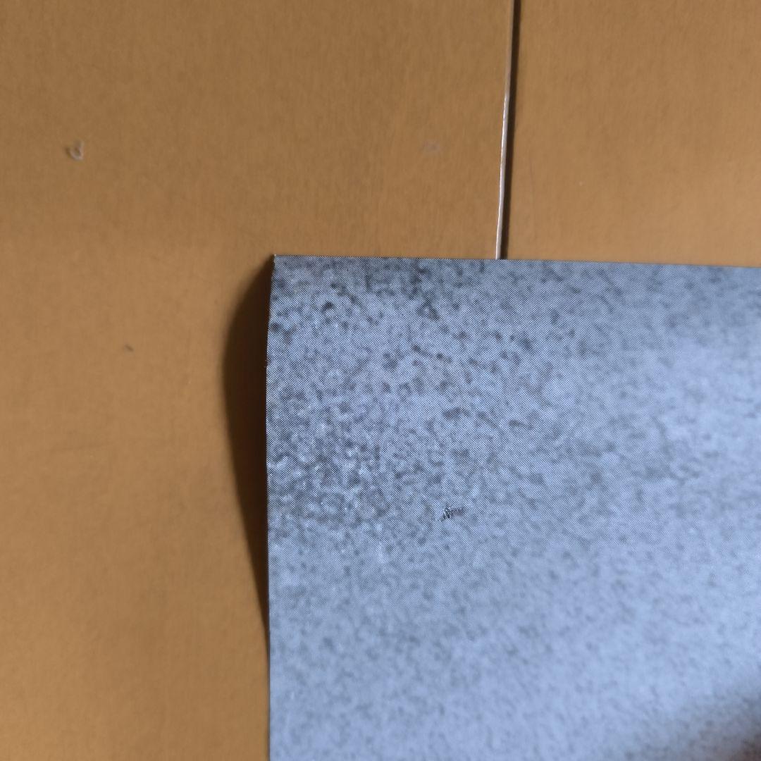 【希少・実物大】マリリン・モンロー モノクロポスター