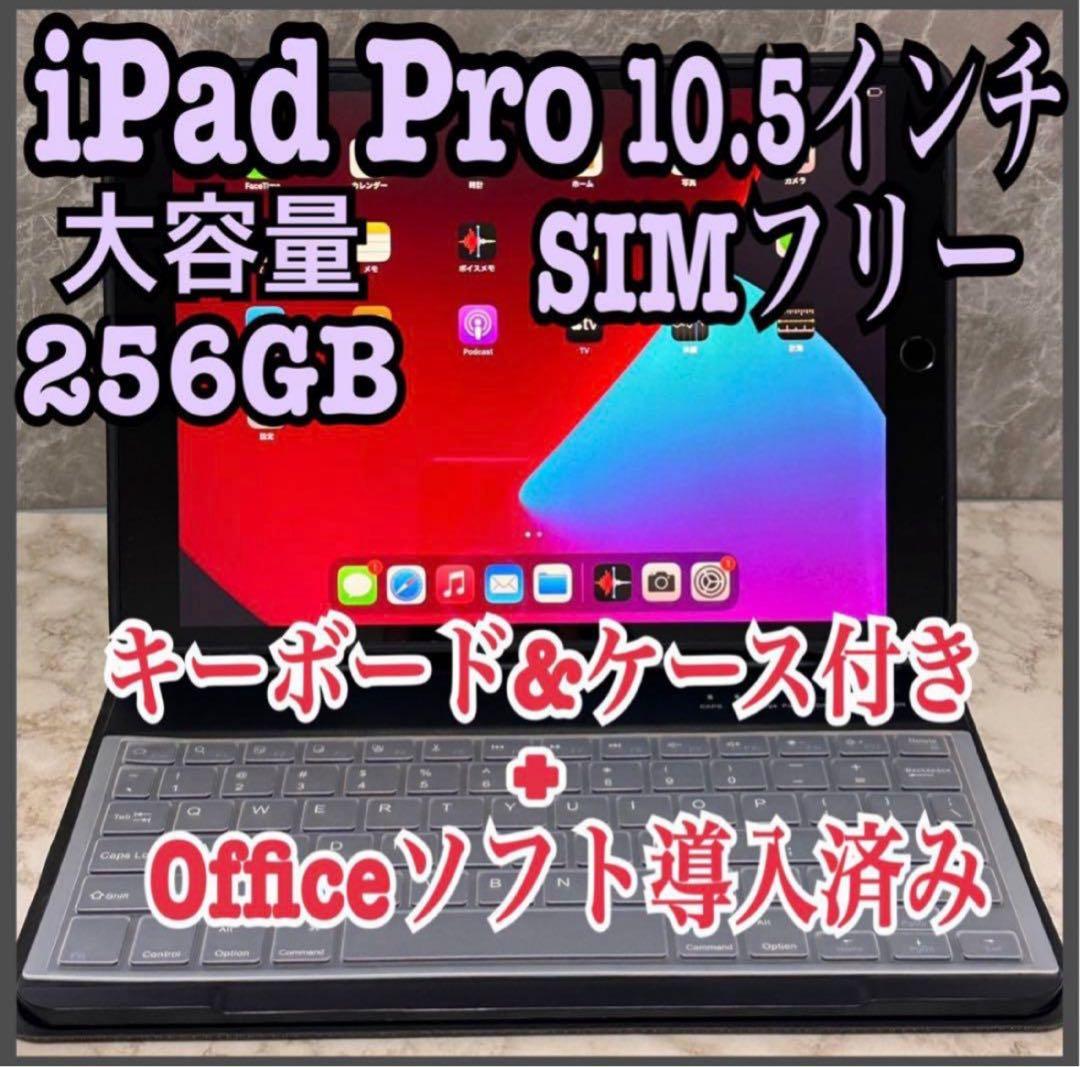 iPad Pro 10.5インチ256GB セルラーモデル