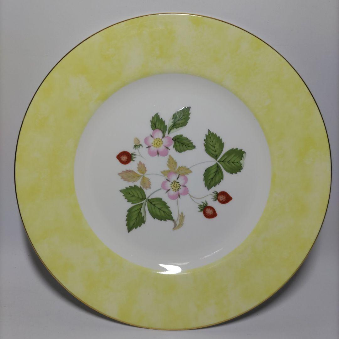 ウェッジウッド ワイルドストロベリー フルリムプレート５色セット 20.5cm