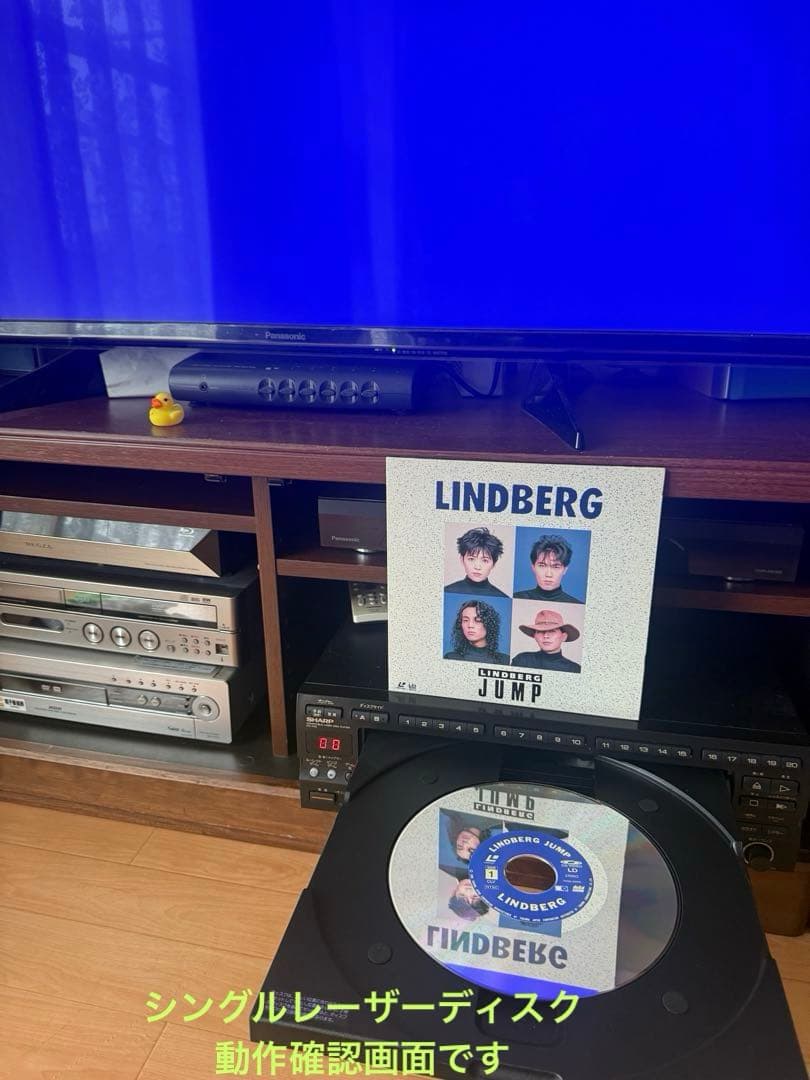 【LD/CD動作品】SHARPレーザーカラオケプレーヤー マイク・リモコン付