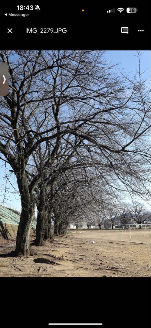 SIGMA 35mm F1.4 DG HSM レンズ