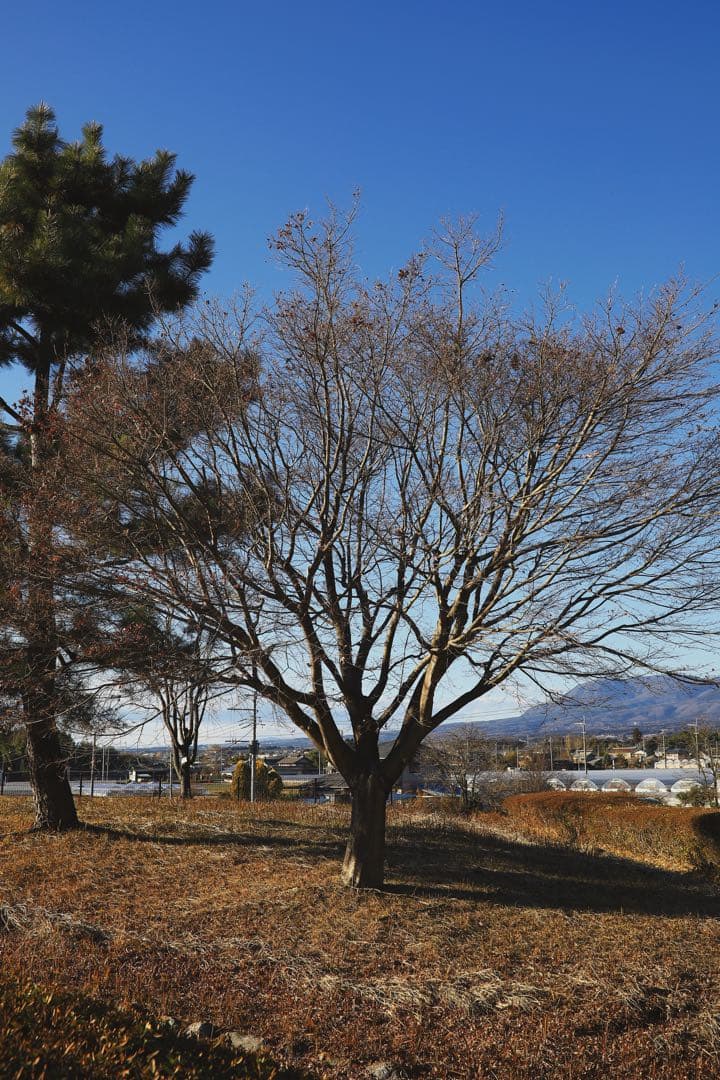 SIGMA 35mm F1.4 DG HSM レンズ