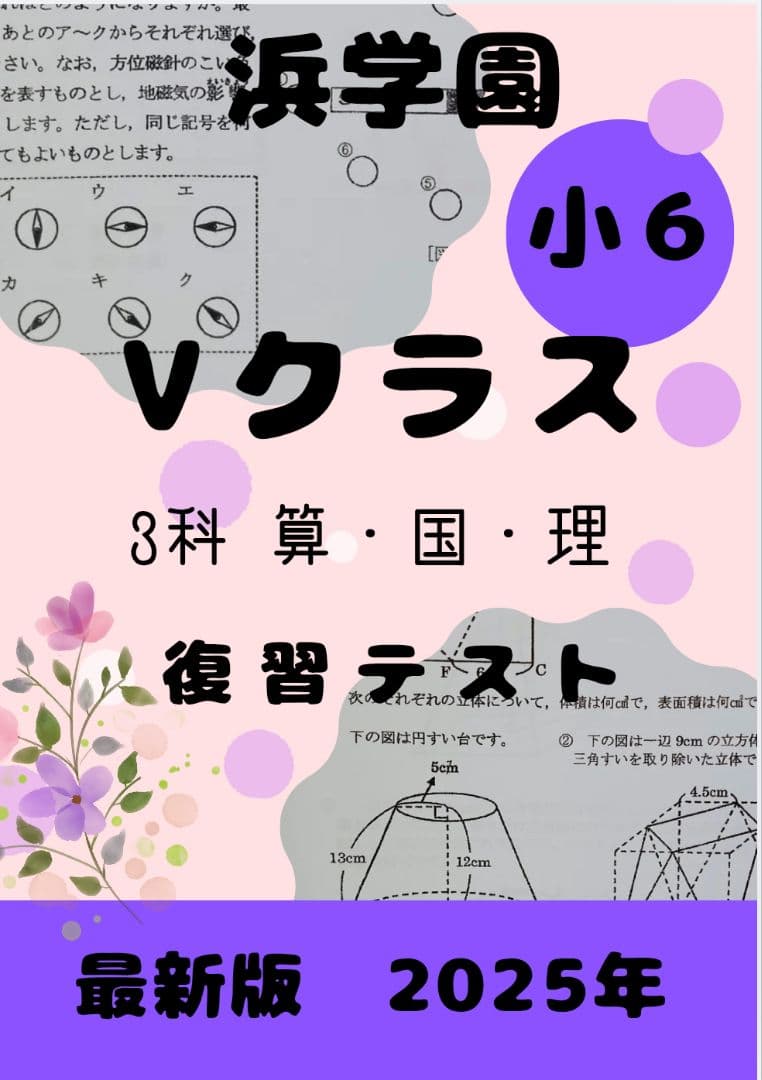 浜学園　小6　2025年 最新版　Vクラス　復習テスト　実力〜No.39