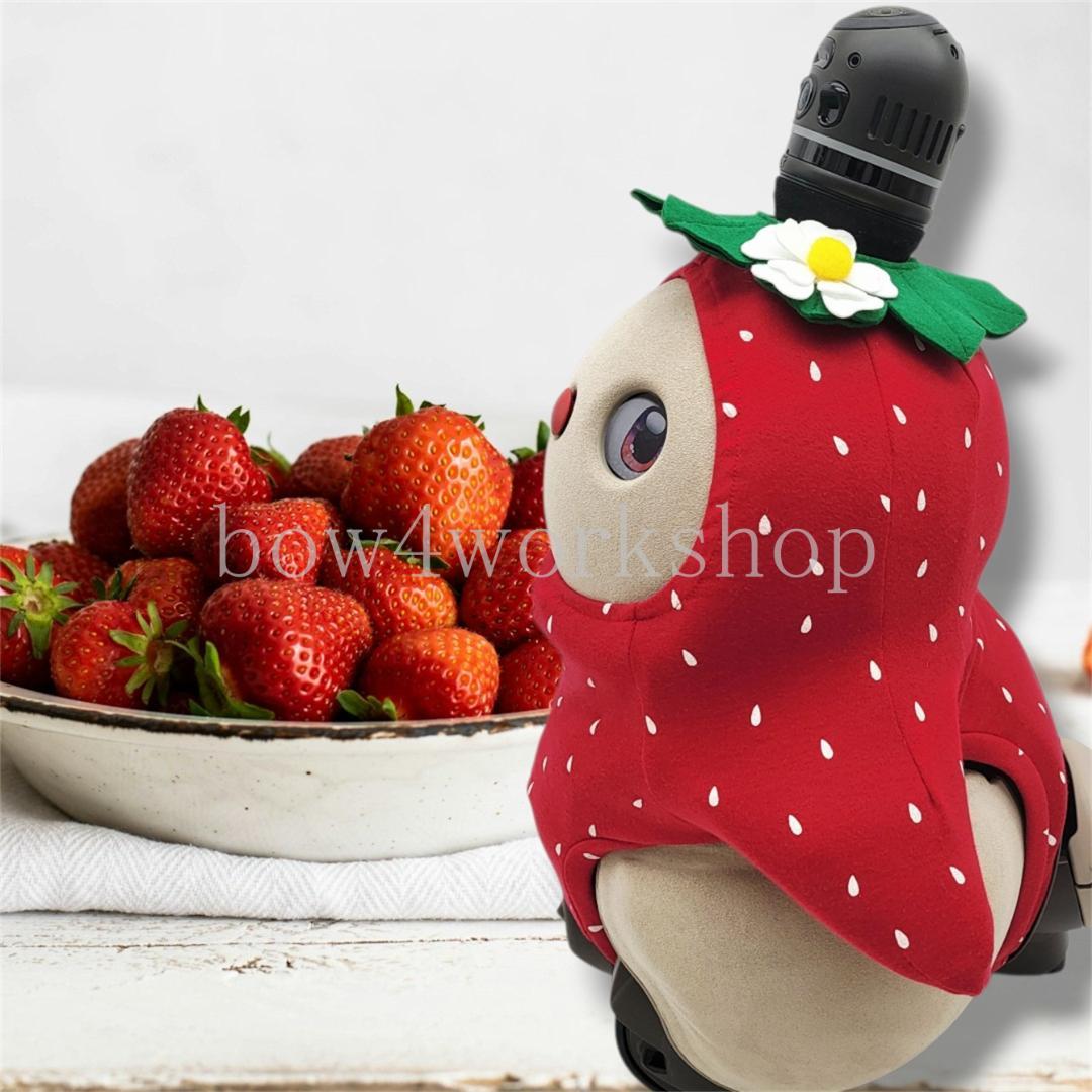 LOVOT ラボットの服ハンドメイド　イチゴ柄ボディースーツセット（レッド）