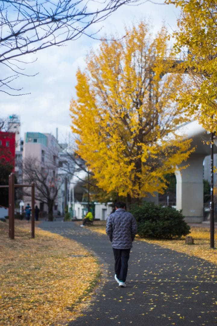 O*K様 Canon 28mm f2.8 L39 (LTM)