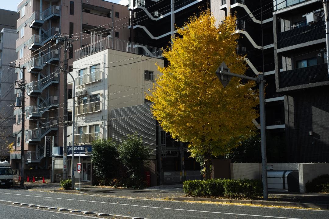 O*K様 Canon 28mm f2.8 L39 (LTM)