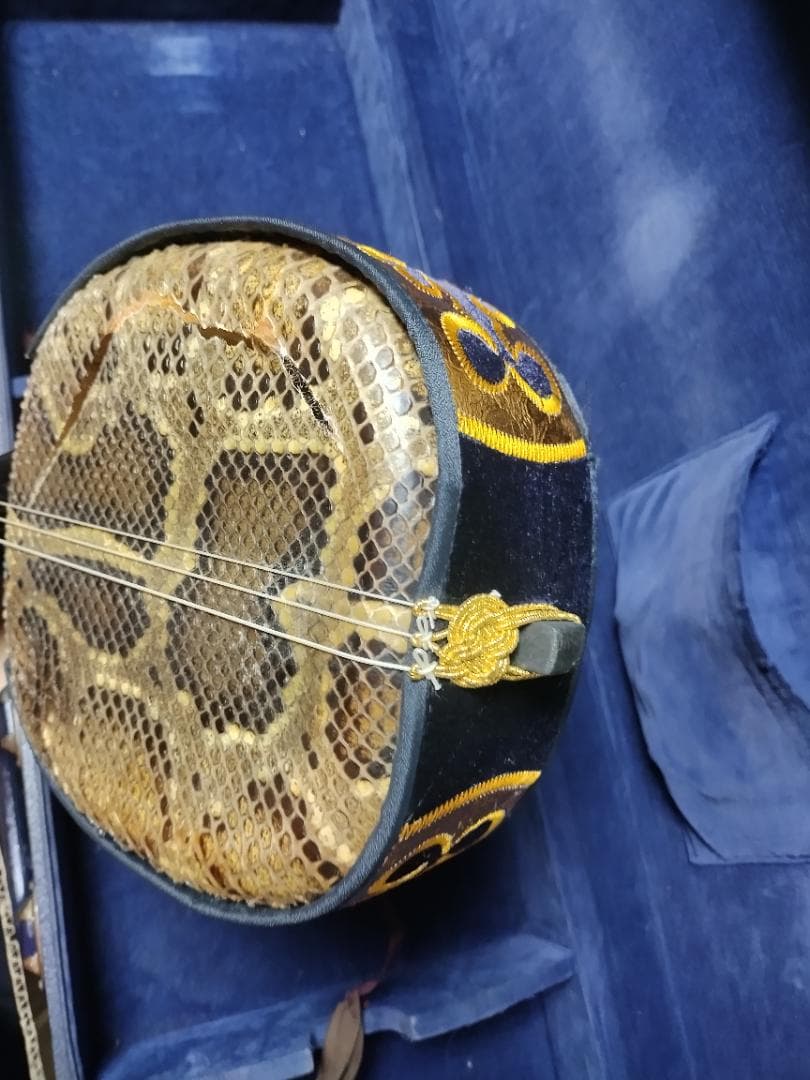 沖縄三線　バチ　ウマ　　胴皮破れ　現状渡し品