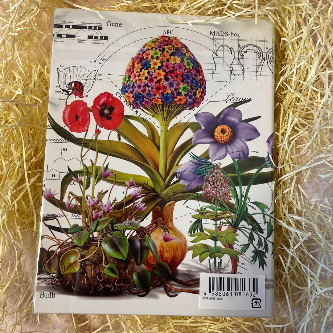 ゆず図鑑アルバム(FC限定)