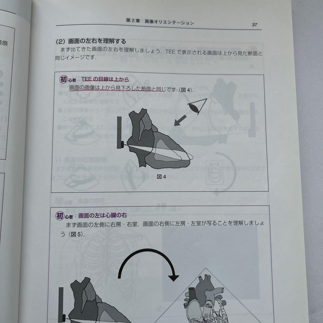 初心者から研修医のための経食道心エコー 部長も科長もみんな初心者