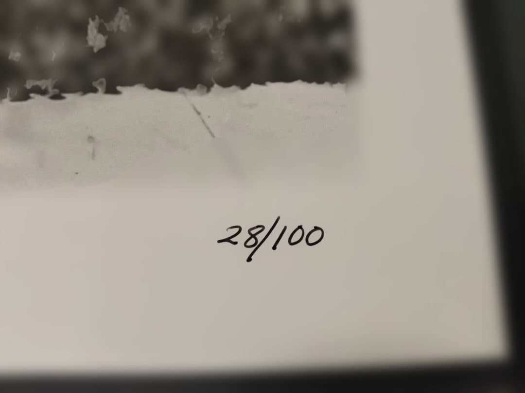 DEATH SCENES 　Katherine Dunn　限定プリント1枚付属