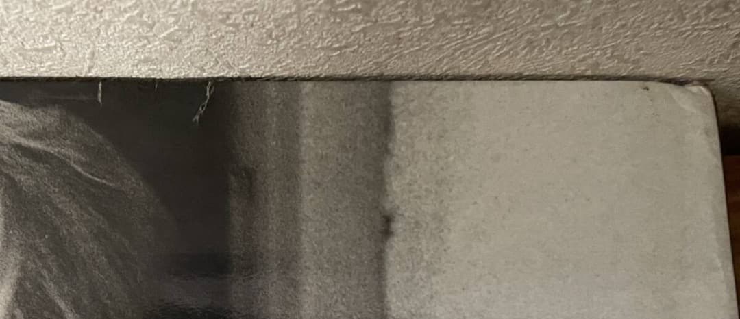 A Decade of Guess?: Images・洋書ART写真集・大型本