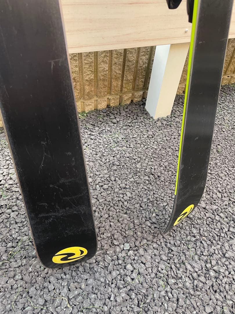 レディース　スキー・ポールセット