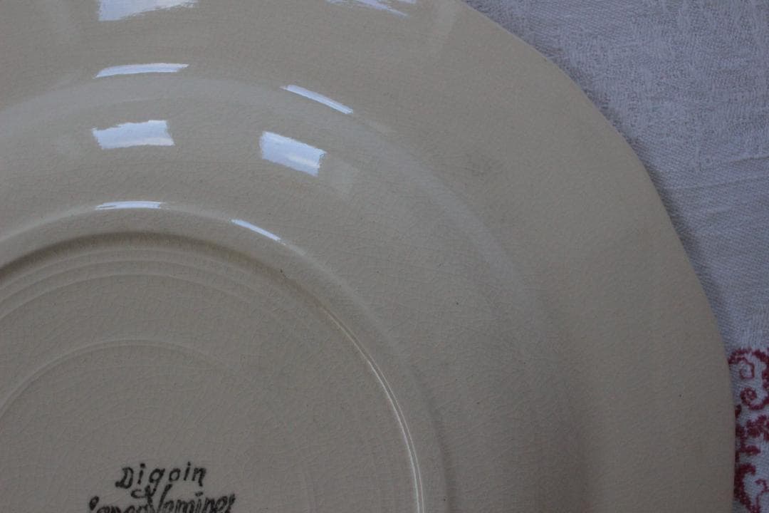 2枚セット　D・サルグミンヌ 花リムアイボリー25cm