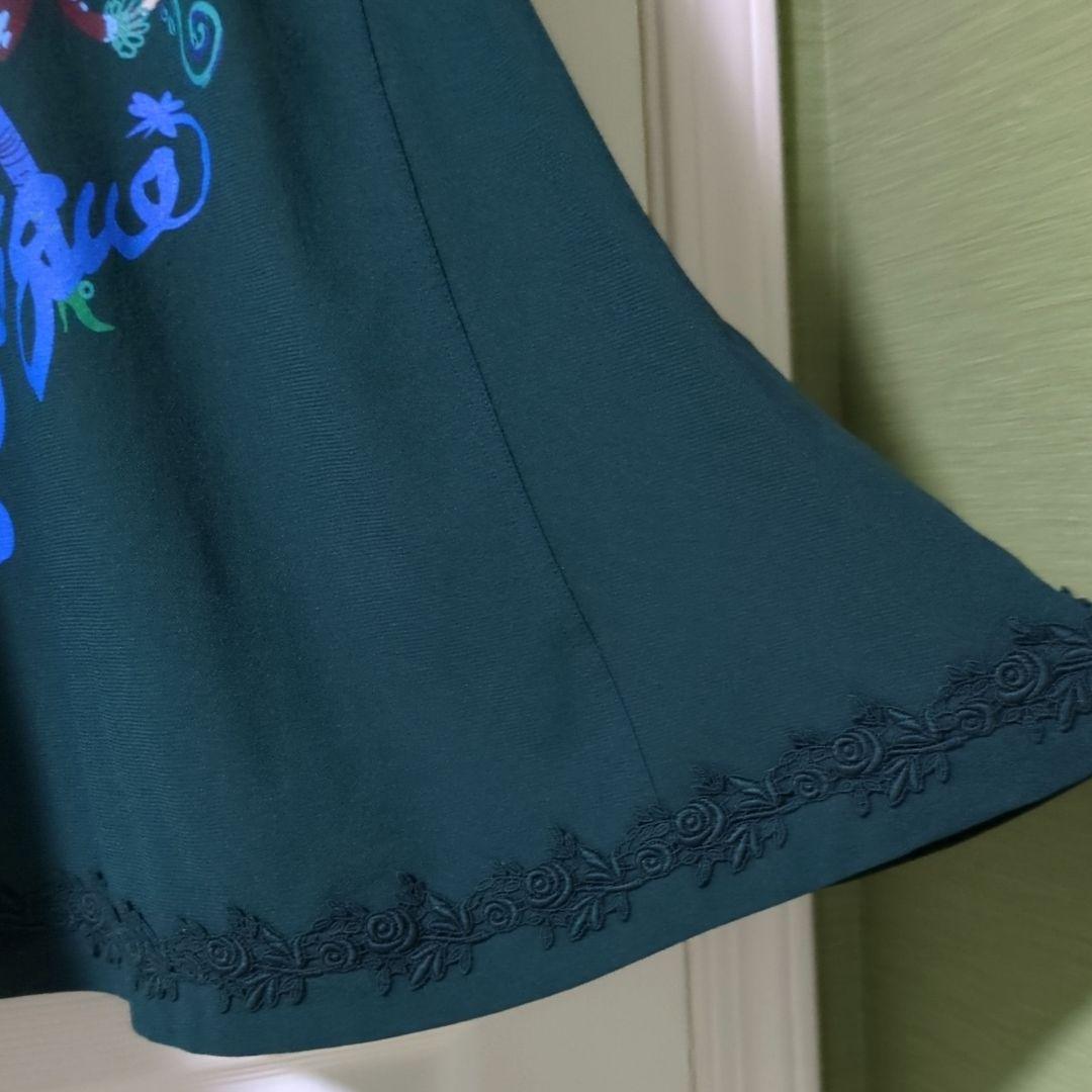 TOKUKO 1er VOL　トクコ　チュニック　女性　楽器　お花　レース