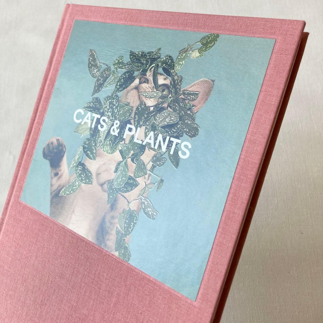 Cats&Plants Stephen Eichhorn 洋書 猫 写真集