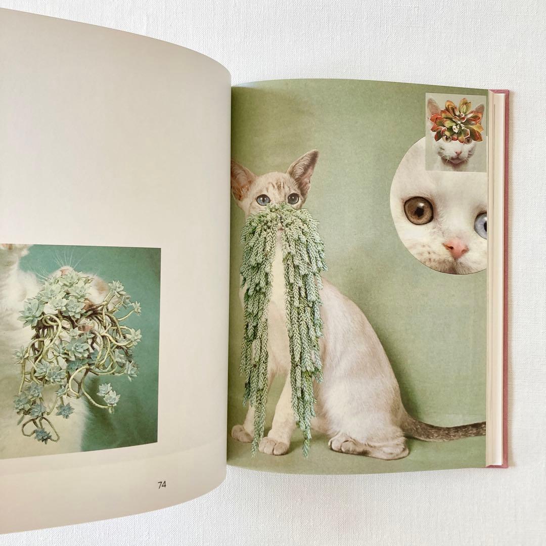 Cats&Plants Stephen Eichhorn 洋書 猫 写真集